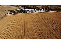 Değirmencik Köyü Asfalt Cepheli Tarla